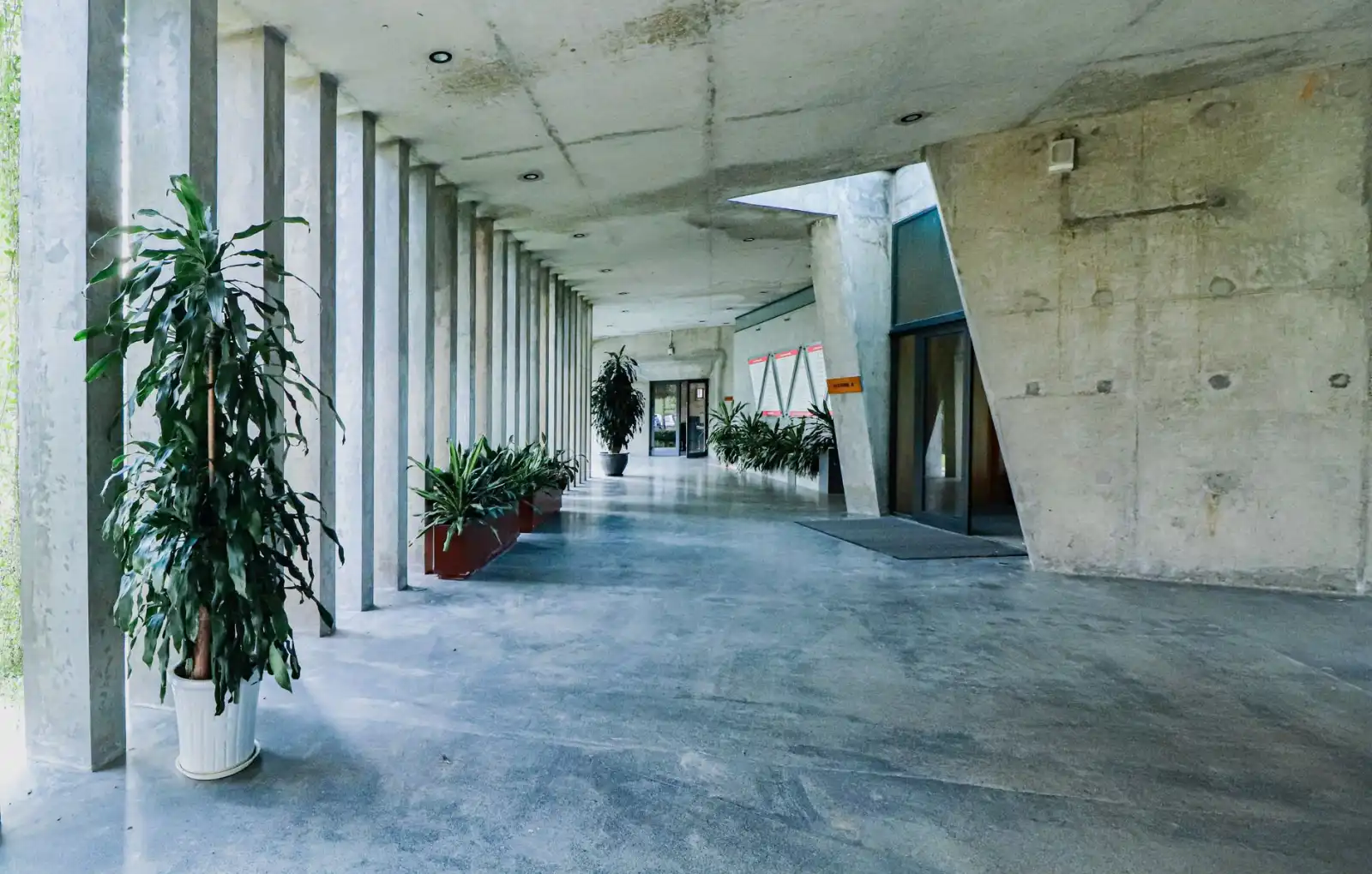 海南企业信息化建设：软件定制开发与系统集成的协同实践